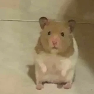 🙁