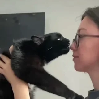 🐱