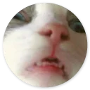 😚