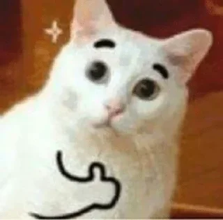 👍