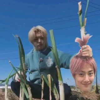 🧅