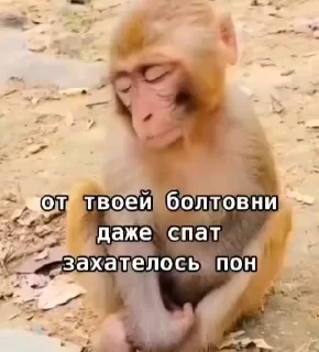 💤