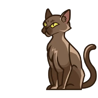 tonshiva