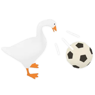⚽️