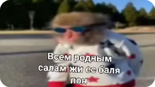 🌟