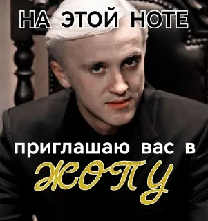 🎵