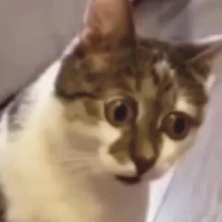 😳