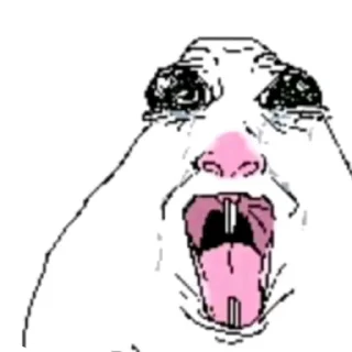 😭