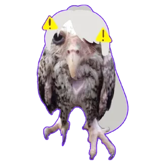 🦉
