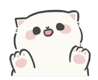🐱