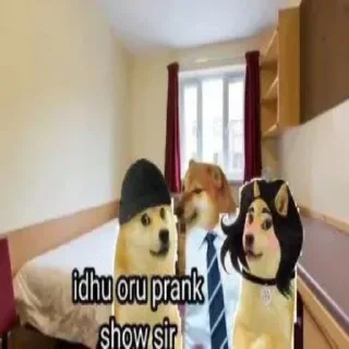 ⚡
