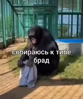 🏃