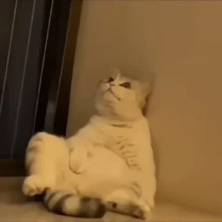 😩