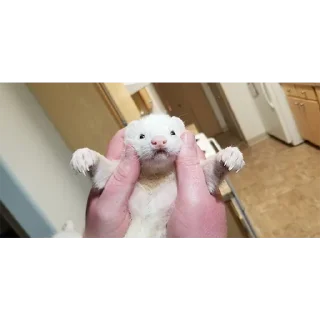 *is hold*