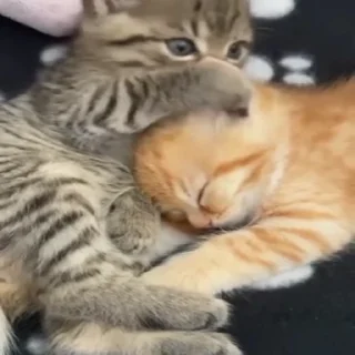 😛