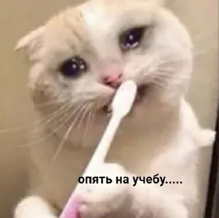 😭