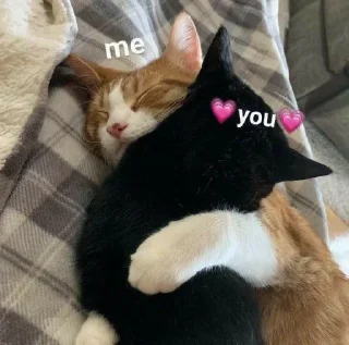 🫂