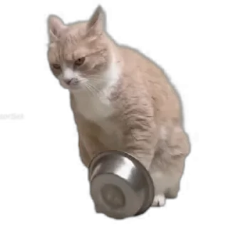 🥣