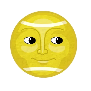 🌚