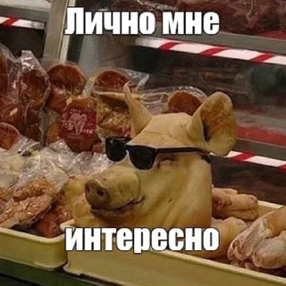 😎