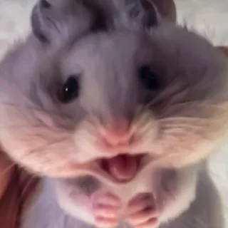 😵