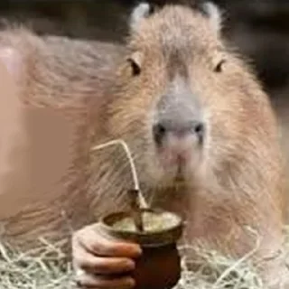 🥤