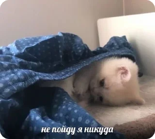 🙁