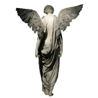 🕊️