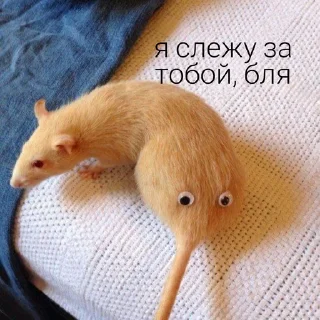 😑