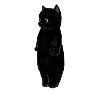 🐱