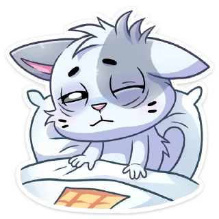 😴