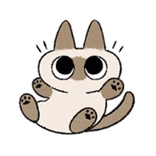 😺