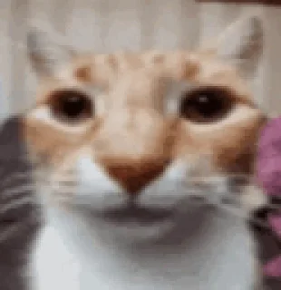 😐