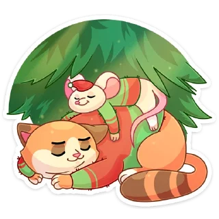 😴