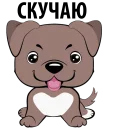 🐶