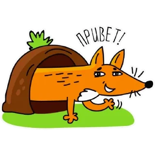 🦊