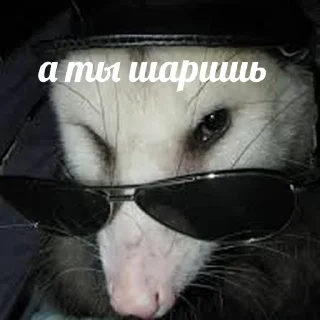 😎
