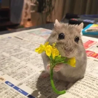 💐