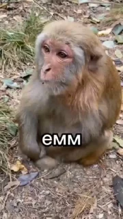 😭