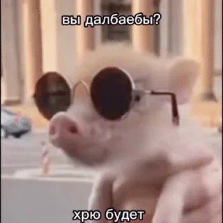 🐽