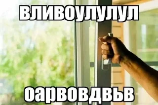 🧂