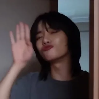 🐻