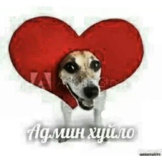 ❤️