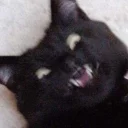 😁