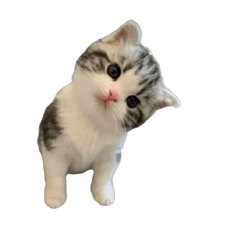 😊