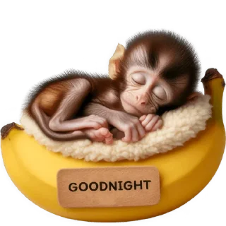 😴
