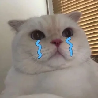 🥲