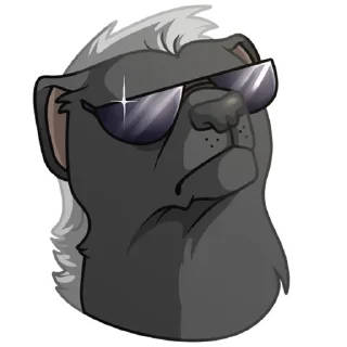 😎