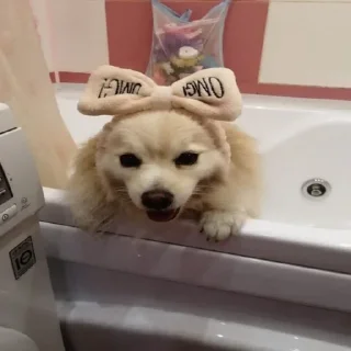 😇