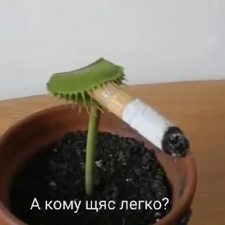 😰